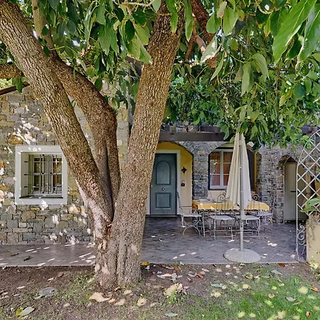 Nel Giardino Di Renzo